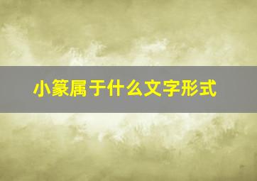 小篆属于什么文字形式