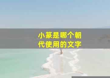 小篆是哪个朝代使用的文字