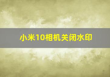 小米10相机关闭水印