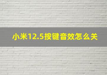 小米12.5按键音效怎么关