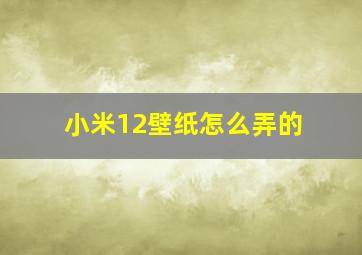 小米12壁纸怎么弄的