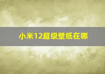 小米12超级壁纸在哪