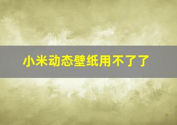 小米动态壁纸用不了了