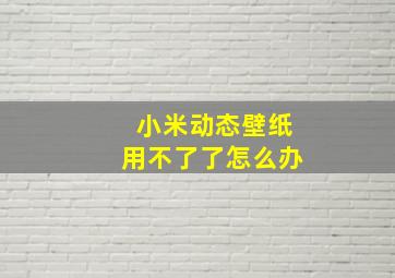 小米动态壁纸用不了了怎么办