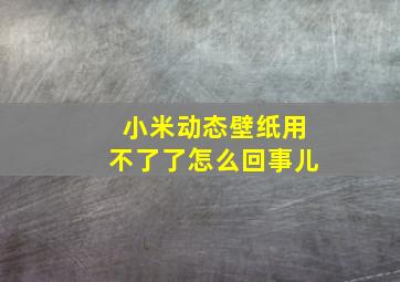 小米动态壁纸用不了了怎么回事儿