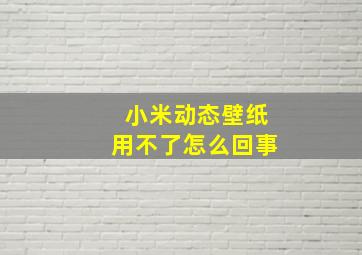 小米动态壁纸用不了怎么回事