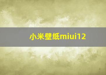 小米壁纸miui12