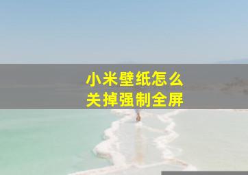 小米壁纸怎么关掉强制全屏