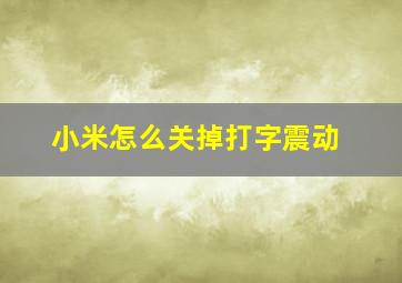 小米怎么关掉打字震动