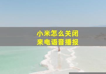 小米怎么关闭来电语音播报