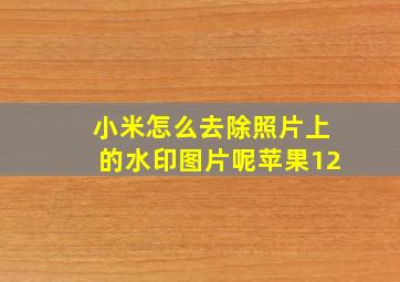 小米怎么去除照片上的水印图片呢苹果12