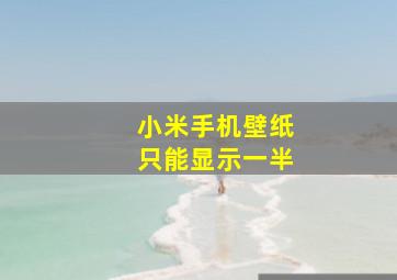 小米手机壁纸只能显示一半