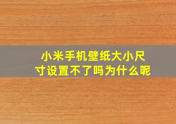 小米手机壁纸大小尺寸设置不了吗为什么呢