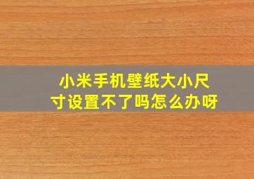 小米手机壁纸大小尺寸设置不了吗怎么办呀