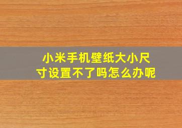 小米手机壁纸大小尺寸设置不了吗怎么办呢