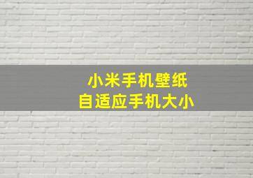 小米手机壁纸自适应手机大小