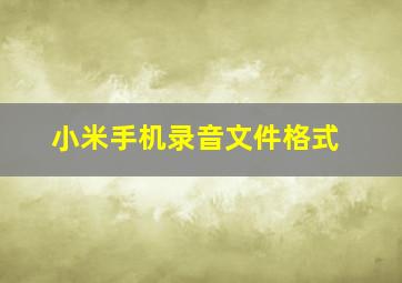 小米手机录音文件格式