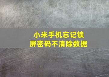 小米手机忘记锁屏密码不清除数据