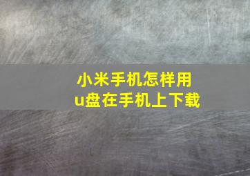 小米手机怎样用u盘在手机上下载