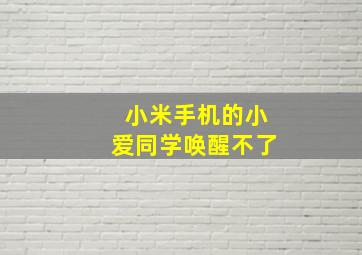 小米手机的小爱同学唤醒不了