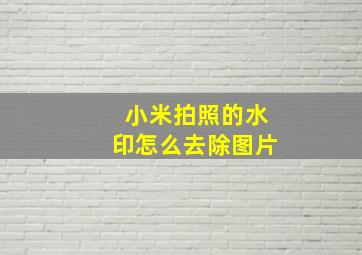 小米拍照的水印怎么去除图片