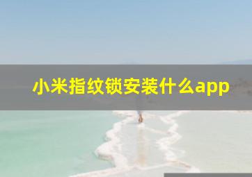 小米指纹锁安装什么app