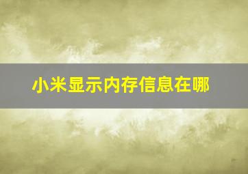 小米显示内存信息在哪