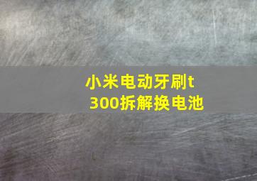 小米电动牙刷t300拆解换电池