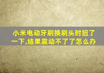 小米电动牙刷换刷头时扭了一下,结果震动不了了怎么办