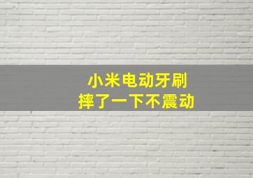 小米电动牙刷摔了一下不震动