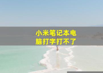 小米笔记本电脑打字打不了