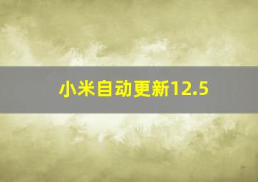 小米自动更新12.5