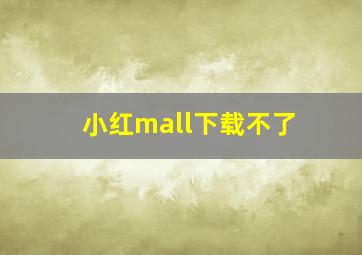 小红mall下载不了