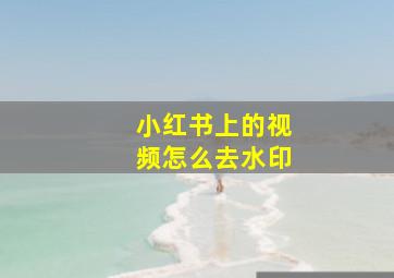 小红书上的视频怎么去水印