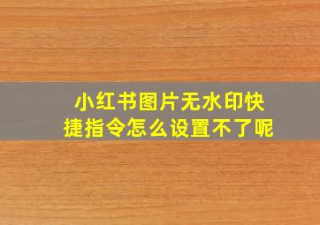 小红书图片无水印快捷指令怎么设置不了呢