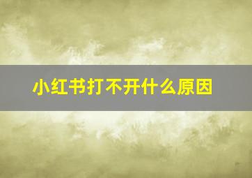 小红书打不开什么原因