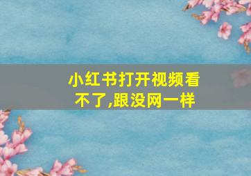 小红书打开视频看不了,跟没网一样