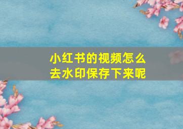 小红书的视频怎么去水印保存下来呢