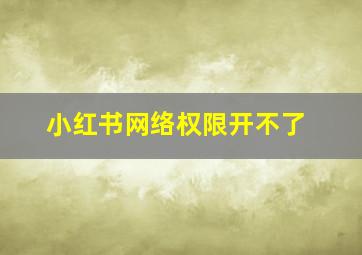 小红书网络权限开不了