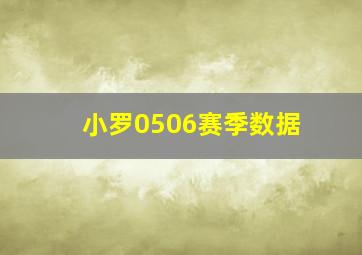 小罗0506赛季数据