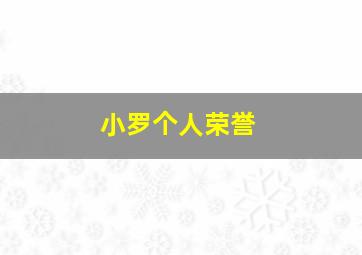 小罗个人荣誉