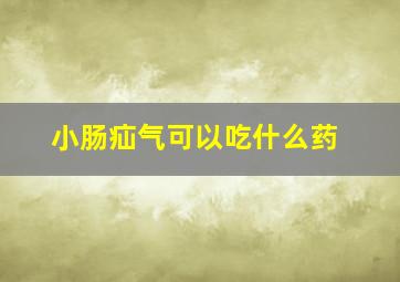 小肠疝气可以吃什么药