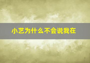 小艺为什么不会说我在