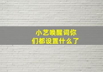 小艺唤醒词你们都设置什么了