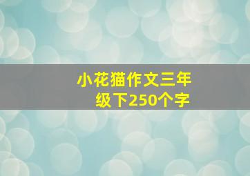 小花猫作文三年级下250个字