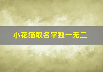 小花猫取名字独一无二