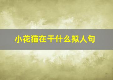 小花猫在干什么拟人句