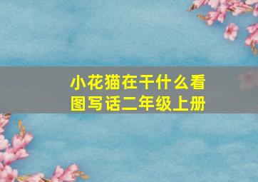 小花猫在干什么看图写话二年级上册