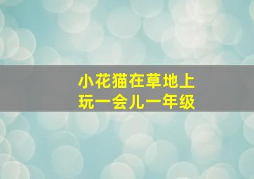 小花猫在草地上玩一会儿一年级