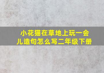 小花猫在草地上玩一会儿造句怎么写二年级下册